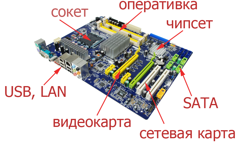 Сетевая карта на материнской плате как выглядит