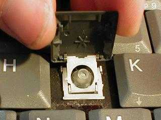 Как вставить кнопку на ноутбуке? выпала кнопка из ноутбука — что делать?