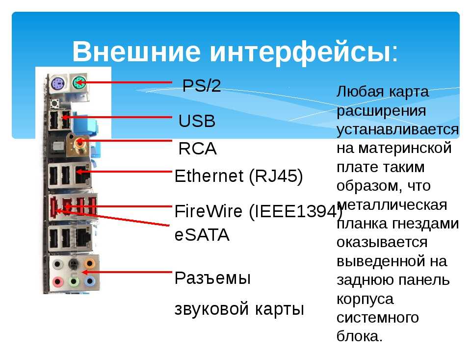 Звуковая карта это устройство вывода или ввода